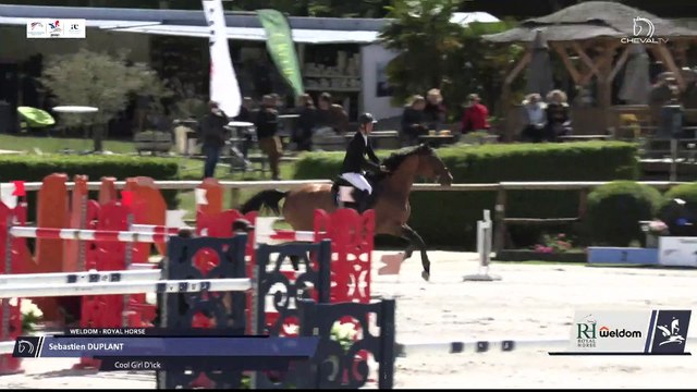 Grand National FFE - AC Print - CSO | Tours Pernay (FRA) | Sebastien DUPLANT | COOL GIRL D'ICK