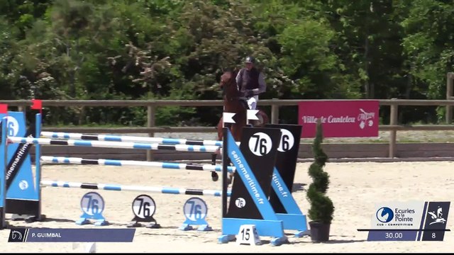 Grand National FFE - AC Print - CSO | Canteleu (FRA) | Patrick GUIMBAL | MISTRAL D