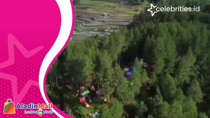 Wisata Trekking hingga Berkemah di Hutan Pinus Mamasa