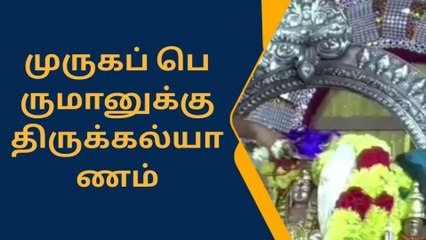 முருகப்பெருமானுக்கு திருக்கல்யாண உற்சவம்