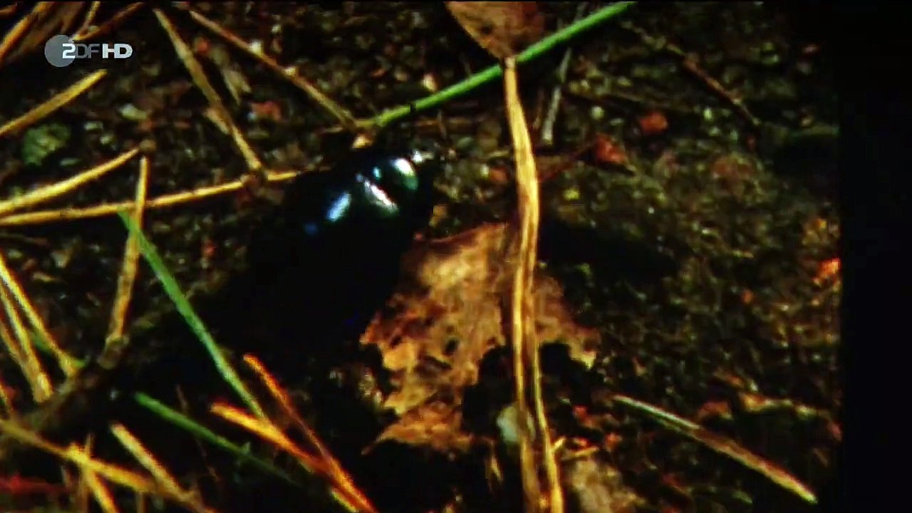 Kommissarin Heller Staffel 1 Folge 1 - Part 02 HD Deutsch