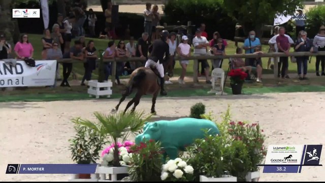 Grand National FFE - AC Print - CSO | Cluny (FRA) | Pierre Alain MORTIER | BLACK JACK DE ST PAUL