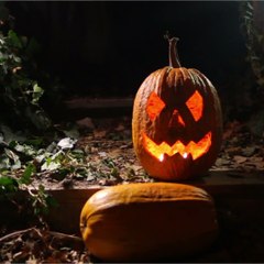 citrouilles halloween ok bon connexe - carré