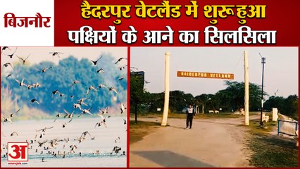 Hastinapur Wildlife Sanctuary : पक्षियों और वनस्पति का शानदार संगम है हैदरपुर वेटलैंड | Bijnor News