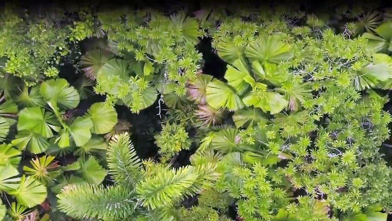 Stimmungen der Erde Staffel 1 Folge 5 HD Deutsch