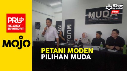 PRU15: Muda pertaruh petani moden di Kota Marudu