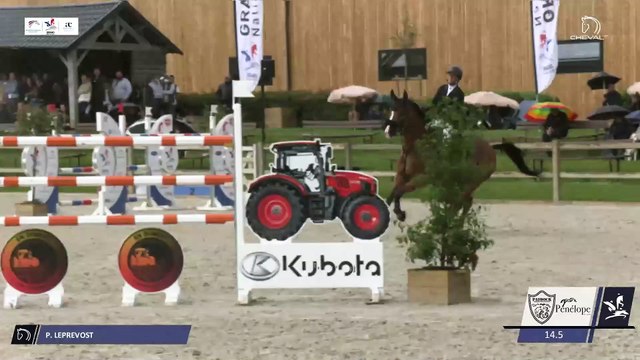 Grand National FFE - AC Print - CSO | Villers Vicomte (FRA) | Penelope LEPREVOST | TEXAS