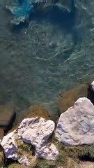 Spunta una sirena in un fiume dello Utah: il video virale di Vivian Beck