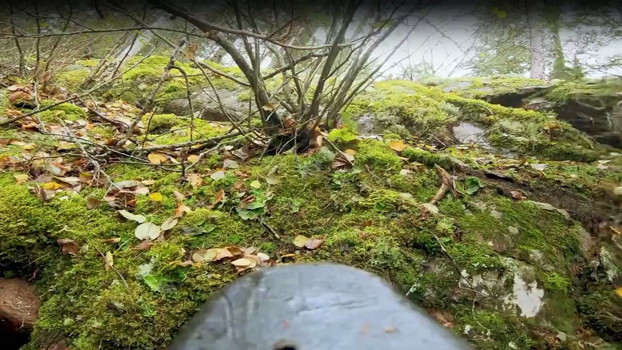 Wettlauf zum Mittelpunkt der Erde Staffel 1 Folge 3 HD Deutsch