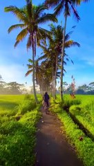 Alam yang indah