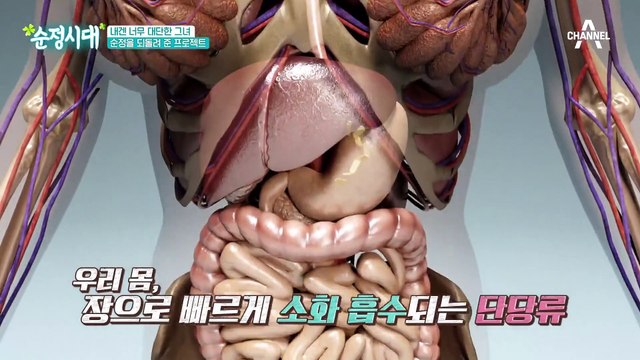 체지방 감소에 도움을 준다는 '다이어트 유산균' BNR17의 효능은?