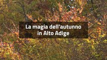 La magia dell'autunno in Alto Adige