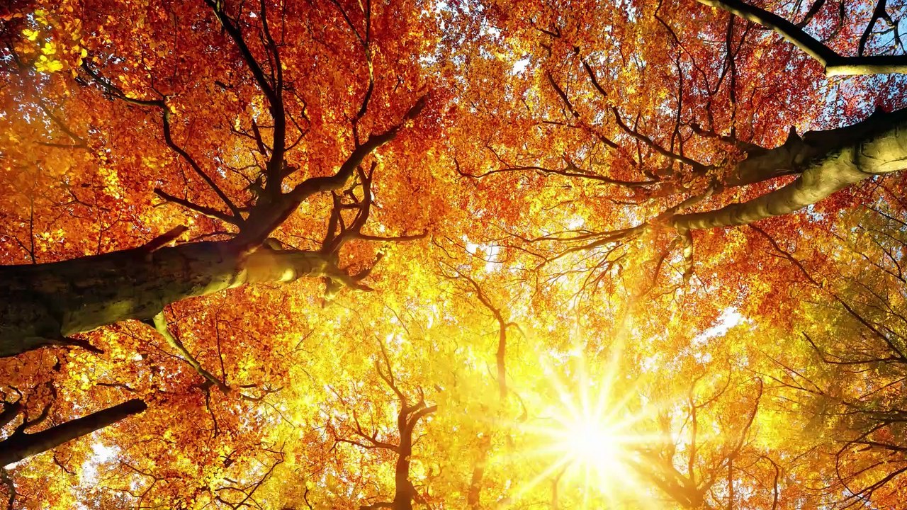 Sommerwetter im Herbst