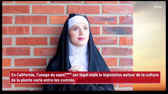 Un groupe de nonnes fait pousser du cann**** et le vend sous forme de différents produits !