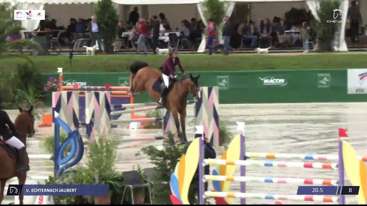 Grand National FFE - AC Print - CSO | Macon (FRA) | Virginie ECHTERNACH JAUBERT | COSMOS DE LA CENSE