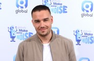 Liam Payne is reportedly mad about a blonde US party girl