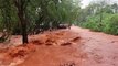Rio transborda, alaga canil e famílias são afetadas em Ivaiporã; veja