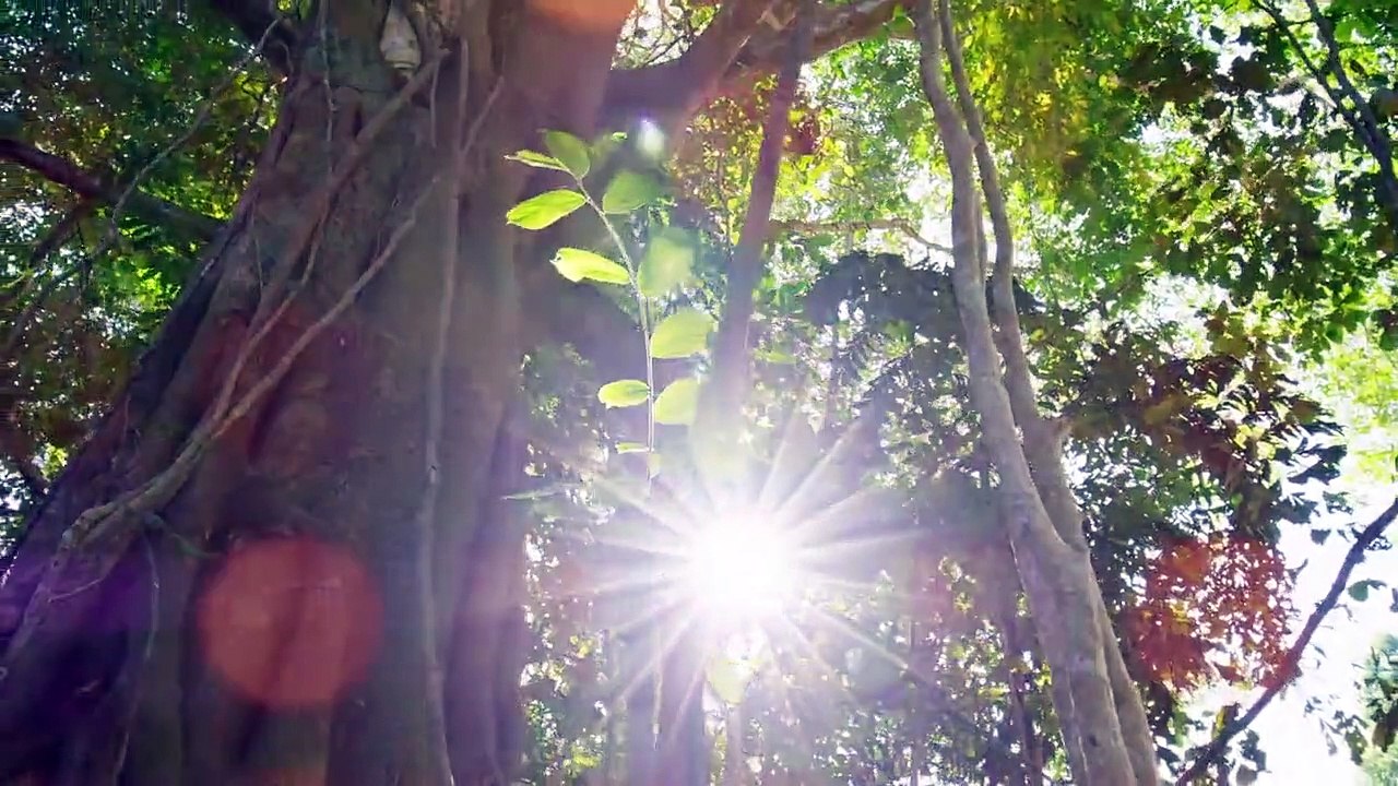 Ein perfekter Planet Staffel 1 Folge 2 HD Deutsch