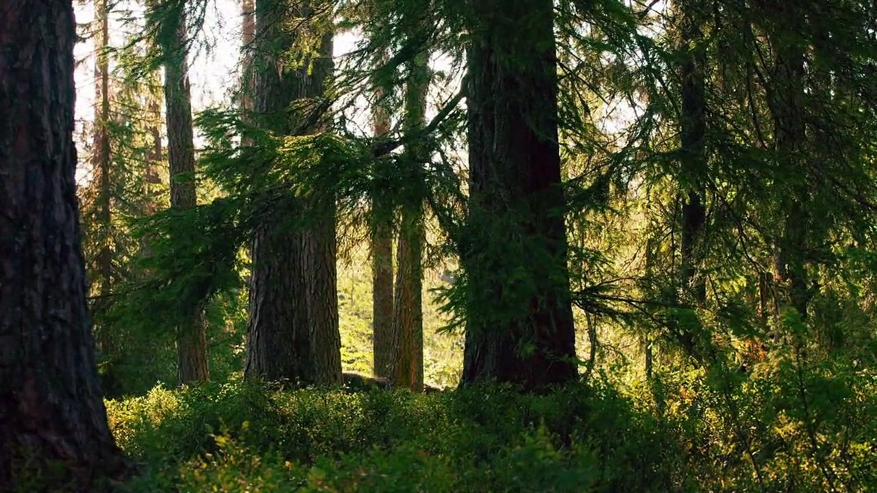 Sieben Kontinente - Ein Planet Staffel 1 Folge 5 HD Deutsch