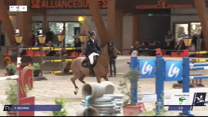 Grand National FFE - AC Print - CSO  | Le Mans (FRA) | Paul DELFORGE | QUIRIMO D