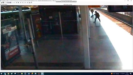 Zabıtaya sinirlenen sokak müzisyenleri gitarını paramparça etti