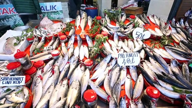 Tezgahlarda palamut bolluğu