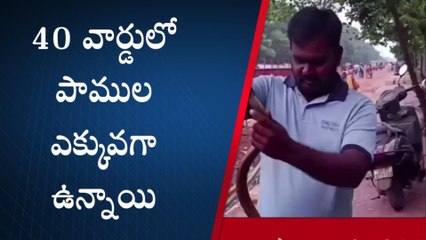 పాము హల్ చల్... ఉలిక్కిపడ్డ దుకాణదారులు