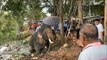 Villagers cheer as trapped elephant climbs out of mud pit in Thailand