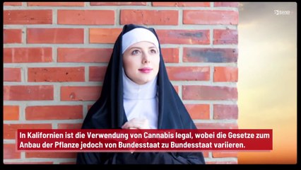 Eine Gruppe von Nonnen pflanzt Cannabis an und verkauft es als verschiedene Produkte
