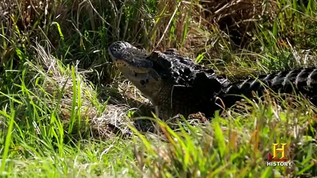 Top Gear USA Staffel 5 Folge 1 HD Deutsch