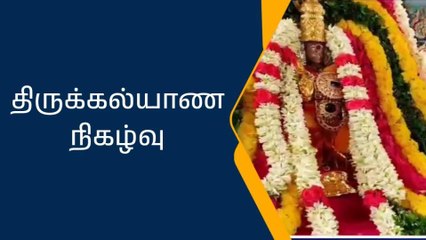 கும்பகோணம் ஆதி கும்பேஸ்வரர் ஆலயத்தில் திருக்கல்யாணம்!