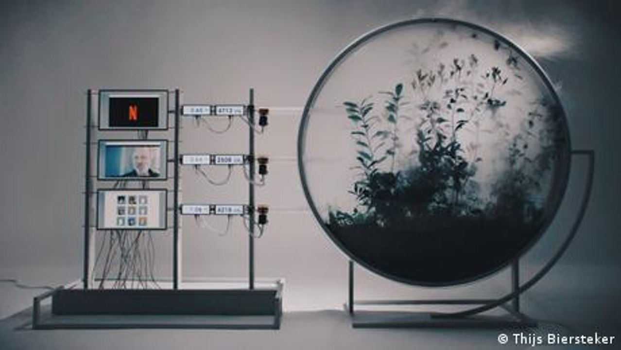 Fighting Climate Change with Art