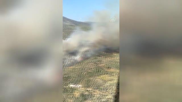 Söke'de makilik alanda çıkan yangına müdahale ediliyor (2)