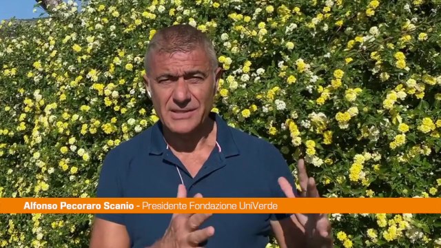 Pecoraro Scanio La vittoria di Lula in Brasile un segno di speranza