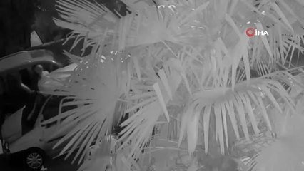 Park halindeki araçtan hırsızlık anları kamerada