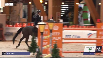 Grand National FFE - AC Print - Finale | Le Mans (FRA) | Paul DELFORGE | ALLBLACK DE GRESSOUX