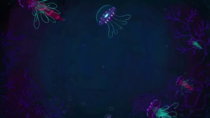 Jellyfish predate dinosaurs. How have they survived so long_ - David Gruber TED-Ed