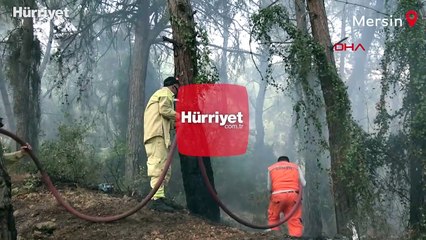 Mersin'de orman yangını kontrol altına alındı