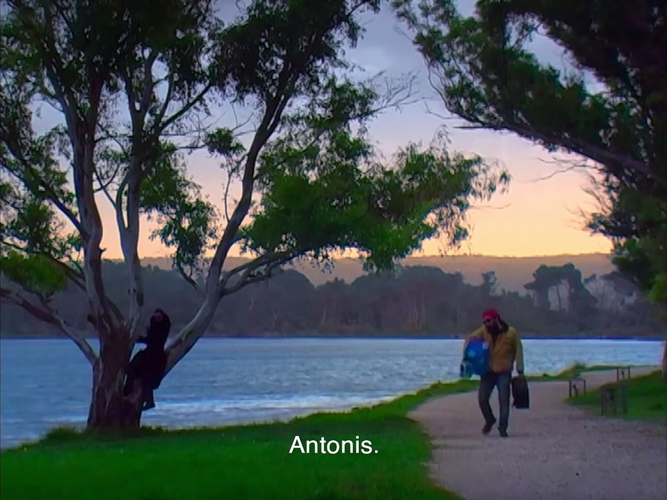 Magnetic Fields - Trailer