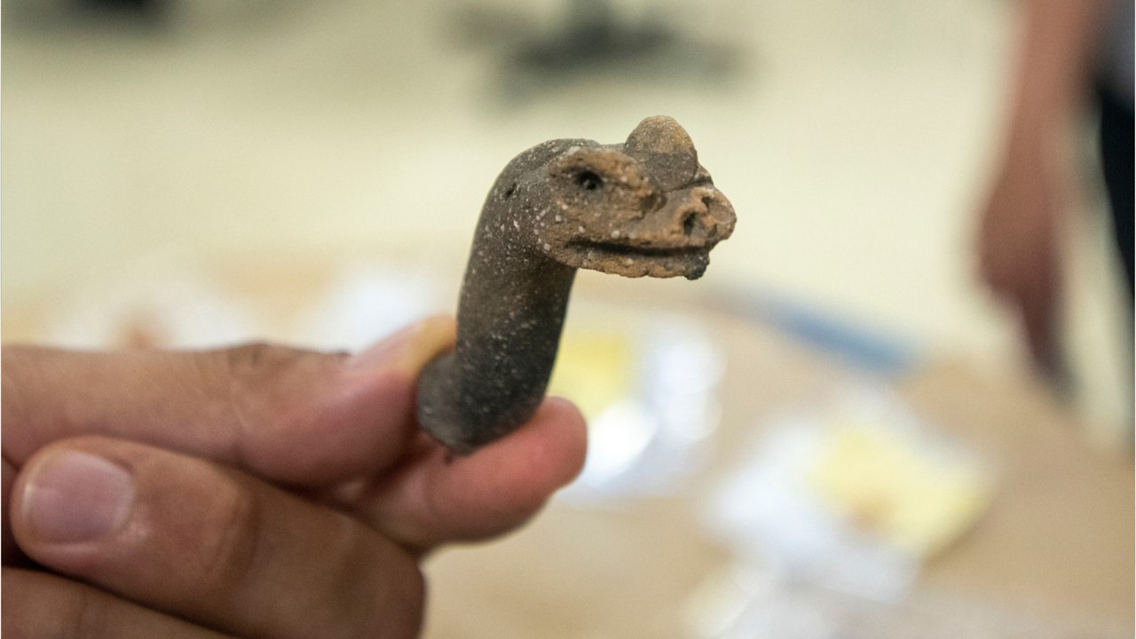 Au Guatemala, une ancienne cité maya livre de nouveaux trésors