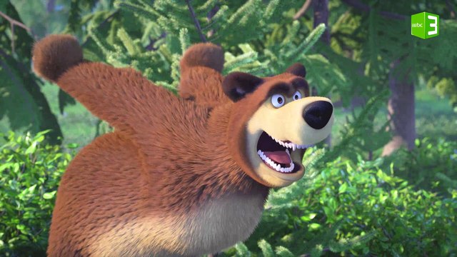 الدب يفقد عقله أثناء السير بالدراجة والسبب..