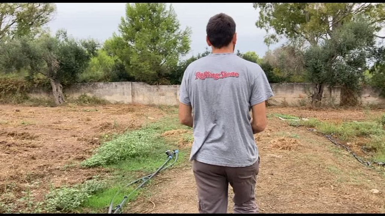Terre Colte, come valorizzare terreni abbandonati al Sud Video