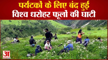 पर्यटकों के लिए बंद हुई फूलों की घाटी, इस साल पहुंचे रिकॉर्ड पर्यटक