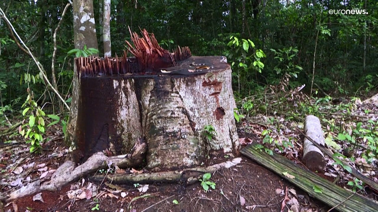 Optimismus in Brüssel nach Wahlsieg Lulas in Brasilien
