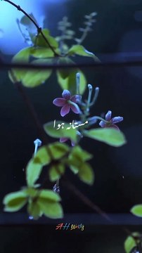 Kaifi Khalil-kahani Suno 2.0 | Muje Pyar Hua Tha Iqrar Hua Tha | Aesthetic | Status Song