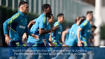 Bleus - Pas de Mondial pour Paul Pogba