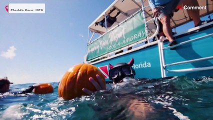 شاهد: غواصون في فلوريدا ينحتون فوانيس القرع تحت الماء