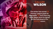 Premier League Stats Performance of the Week - Callum Wilson