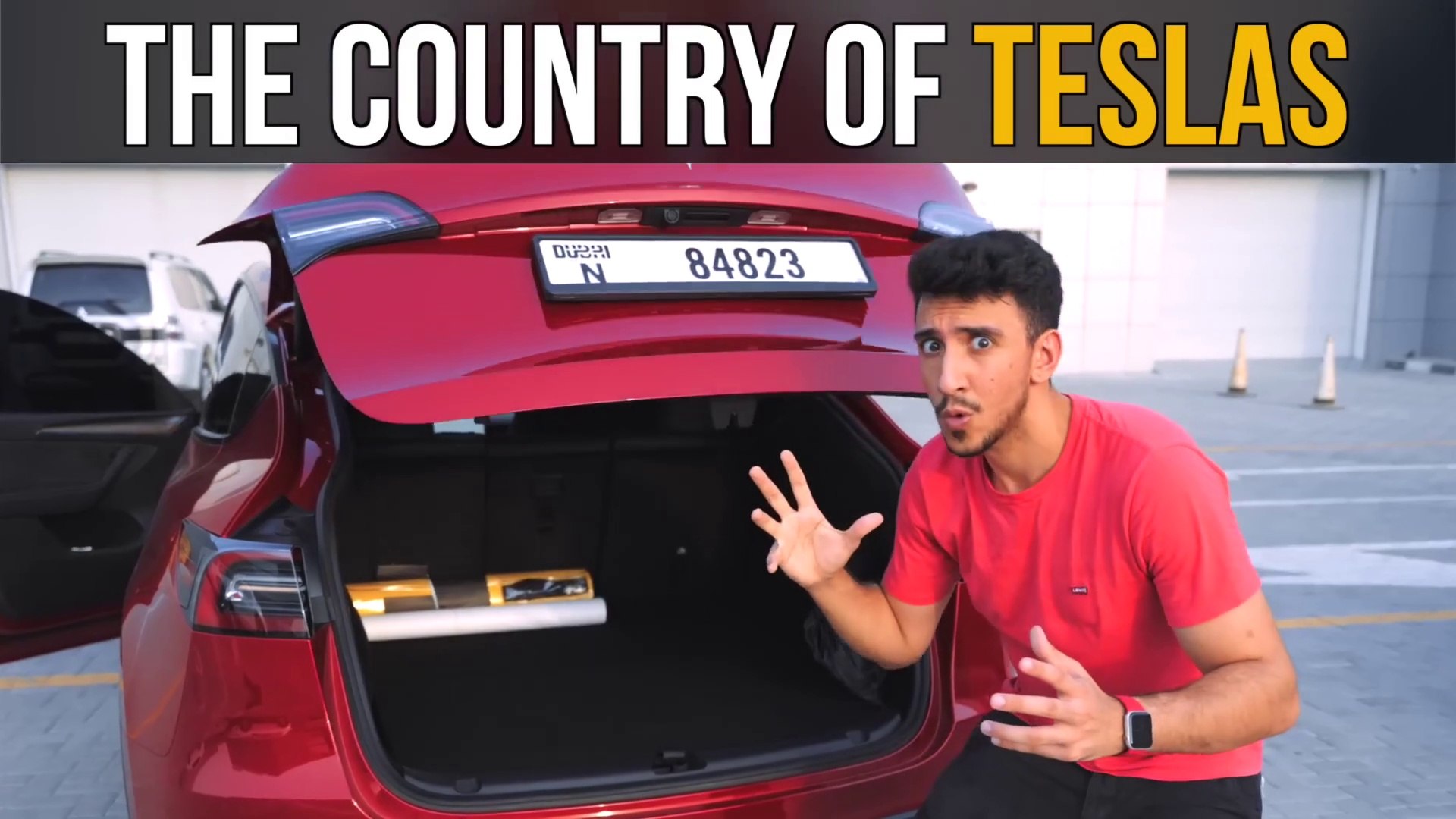 ⁣The Country Of Teslas