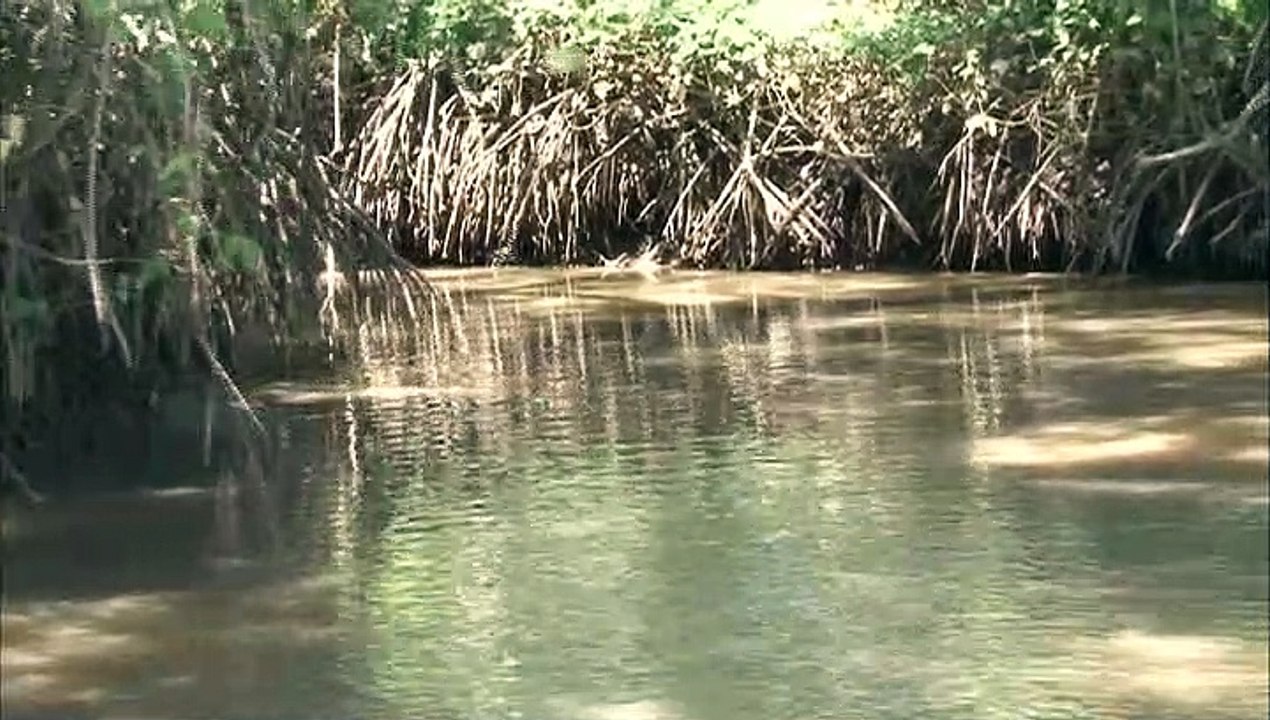 NIÑO MATINA